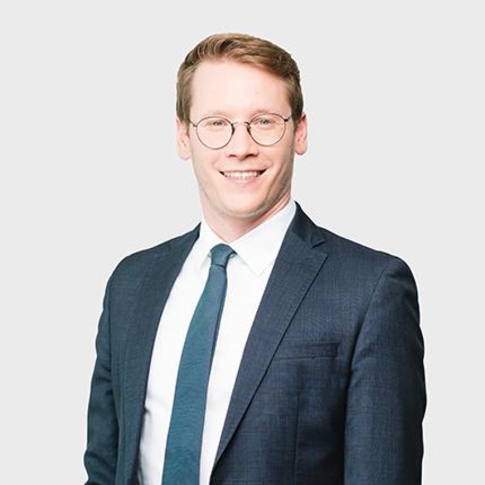 Niklas Gamillscheg, Rechtsanwaltsanwärter